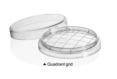 Rodac Dish concave Rodac Dish, 60mm, Grid, Concave, PS, Sterile